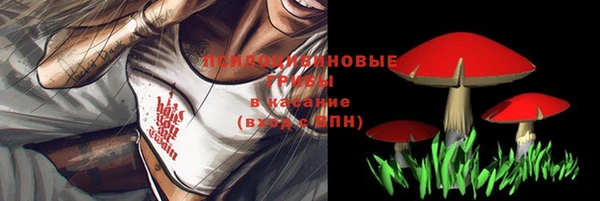 прущая мука Алзамай