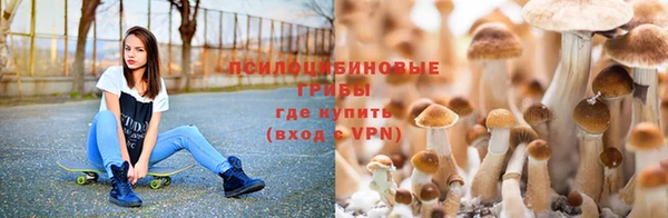 ECSTASY Алексин