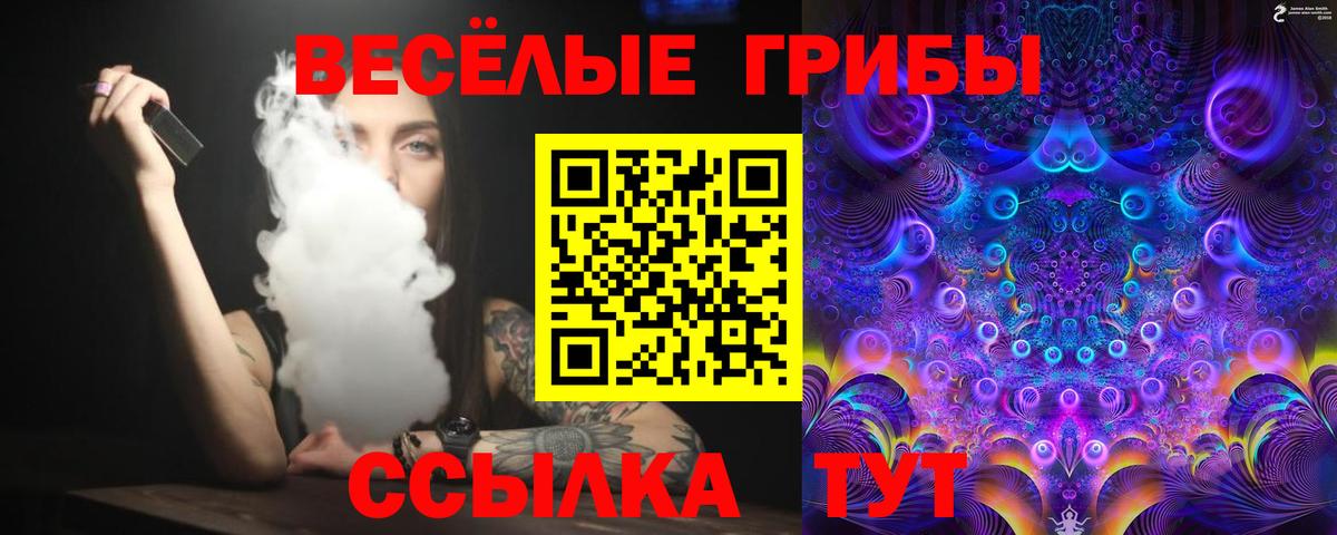 Псилоцибиновые грибы Psilocybe Егорьевск